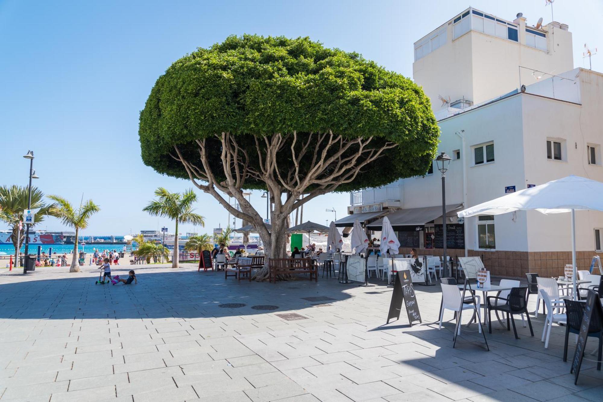 Modern Apartments Los Cristianos Center מראה חיצוני תמונה